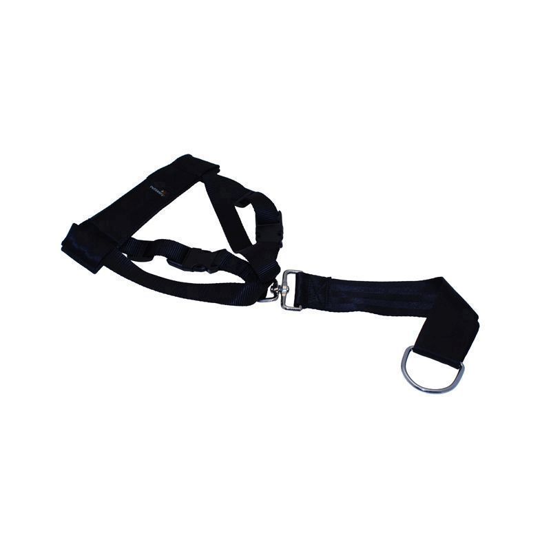 Pet Gear Dog Harness Large